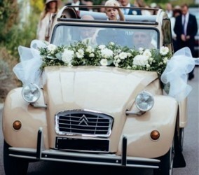 Citroen 2cv 1986 beige wedding gift beige 1