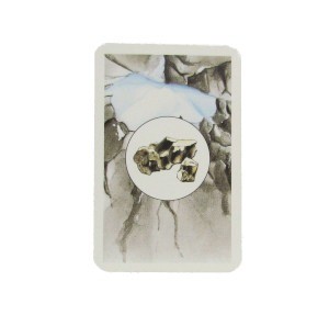 Kolonisten van Catan - Grondstof Kaartjes V1 4