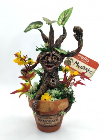 Magische mandrake in een potje 3