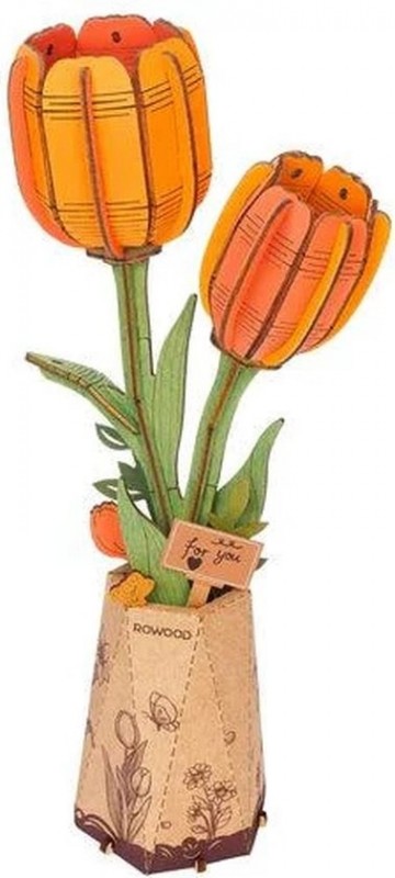 Orange tulip 1