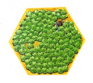Kolonisten van Catan - Landtegel V1 4