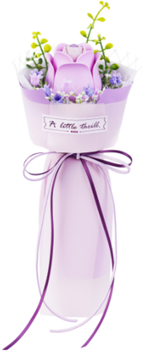 Robotime purple rose af021