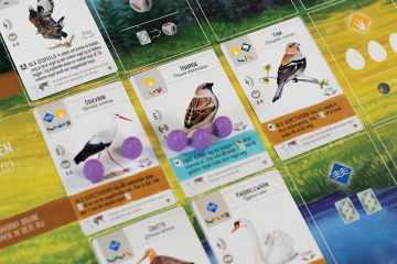 Wingspaneuropaspeelsituatie01web