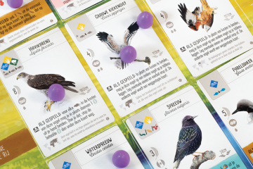 Wingspaneuropaspeelsituatie04web